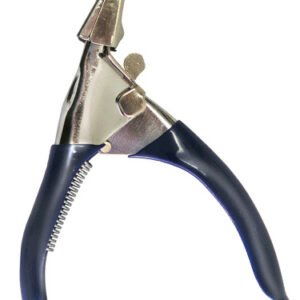 Large Animal Stomach