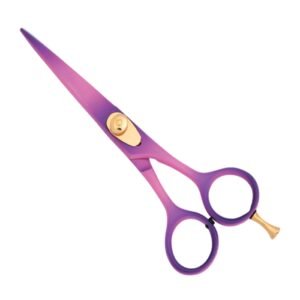 Professional Hair Cutting Scissor