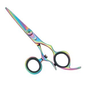 Professional Hair Cutting Scissor