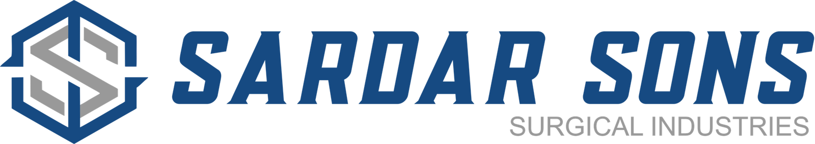 sardarsonssurgicalindustries.com
